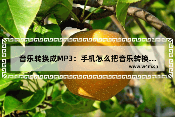 音乐转换成MP3：手机怎么把音乐转换成mp3