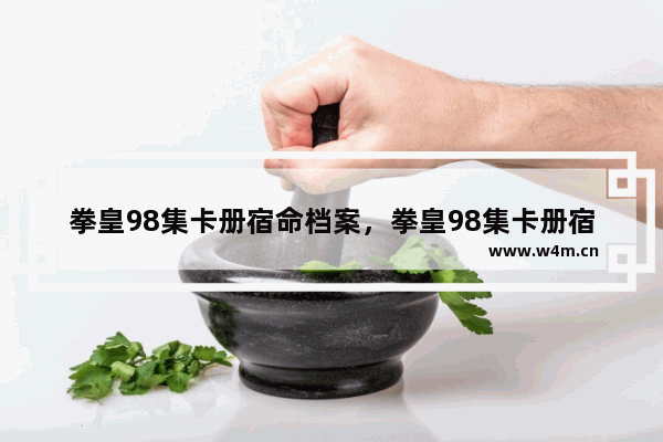 拳皇98集卡册宿命档案，拳皇98集卡册宿命档案完美搭配