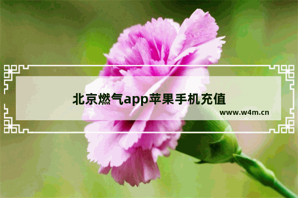 北京燃气app苹果手机充值