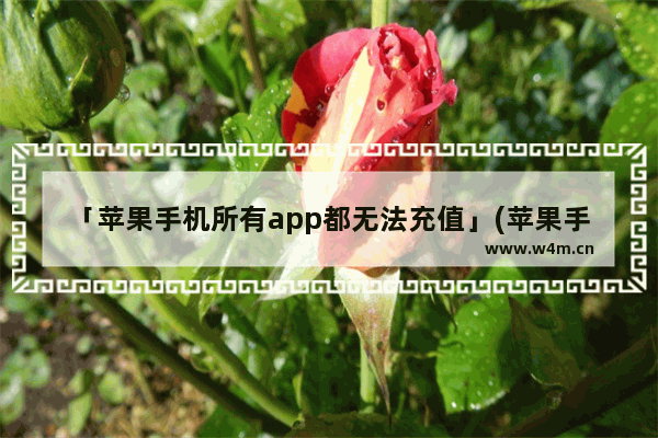 「苹果手机所有app都无法充值」(苹果手机所有app都无法充值-7)