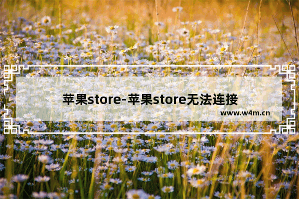 苹果store-苹果store无法连接