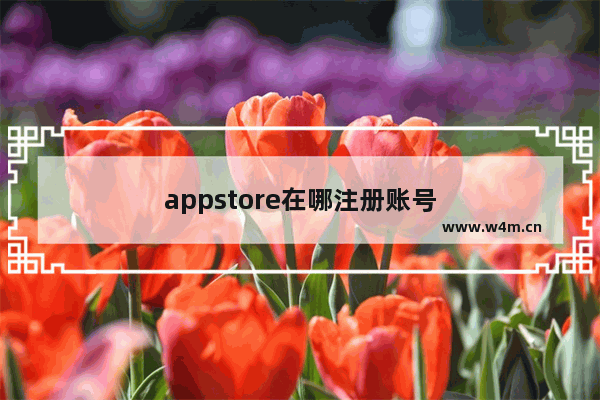 appstore在哪注册账号