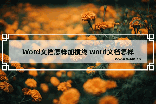 Word文档怎样加横线 word文档怎样加横线打字