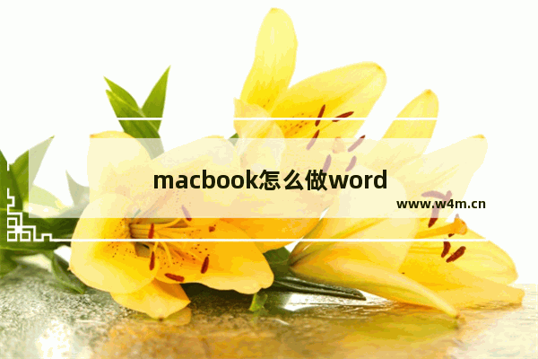 macbook怎么做word