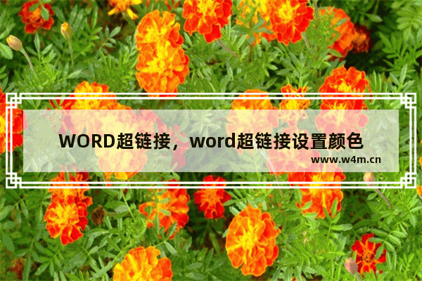 WORD超链接，word超链接设置颜色