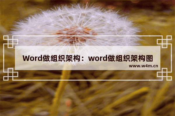 Word做组织架构：word做组织架构图如何打字