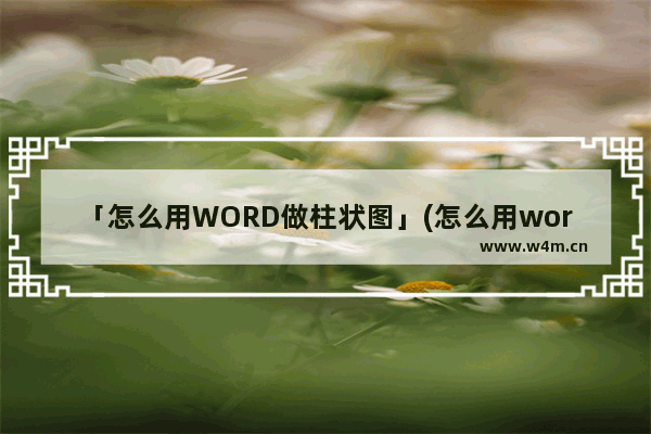 「怎么用WORD做柱状图」(怎么用word做柱状图表)