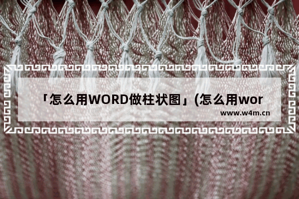 「怎么用WORD做柱状图」(怎么用word做柱状图表)