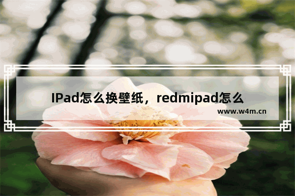 IPad怎么换壁纸，redmipad怎么换壁纸