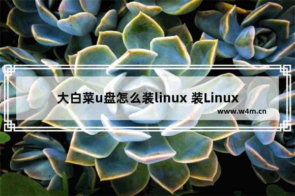 大白菜u盘怎么装linux 装Linux系统到大白菜U盘的步骤