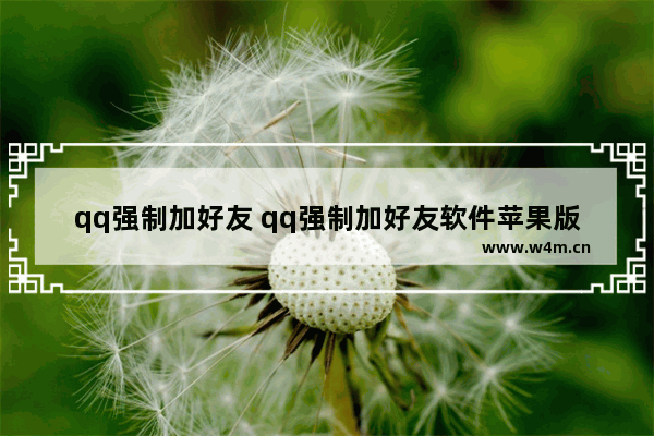 qq强制加好友 qq强制加好友软件苹果版