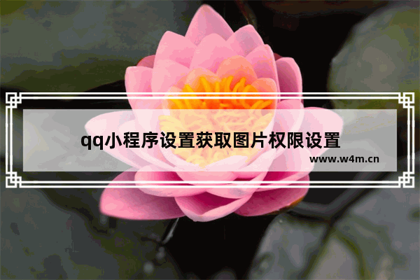 qq小程序设置获取图片权限设置