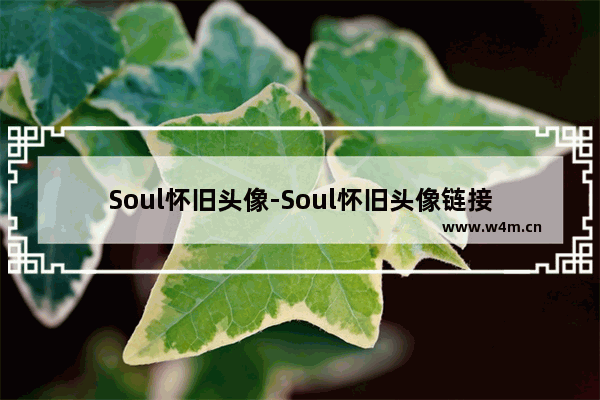 Soul怀旧头像-Soul怀旧头像链接