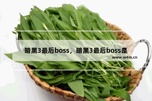 暗黑3最后boss，暗黑3最后boss是什么职业