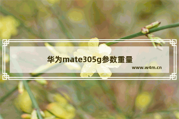 华为mate305g参数重量