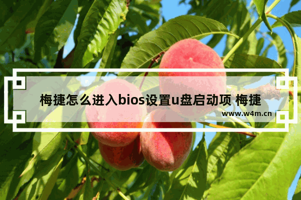 梅捷怎么进入bios设置u盘启动项 梅捷如何设置bios启动项