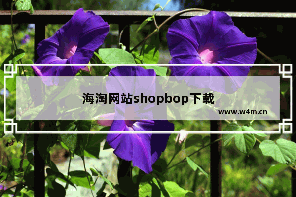 海淘网站shopbop下载