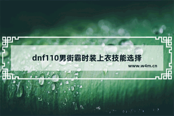 dnf110男街霸时装上衣技能选择