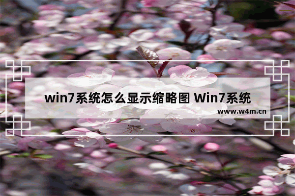 win7系统怎么显示缩略图 Win7系统如何显示文件的缩略图