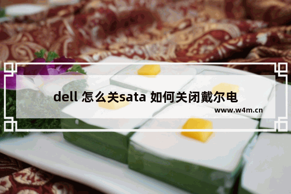 dell 怎么关sata 如何关闭戴尔电脑的SATA端口