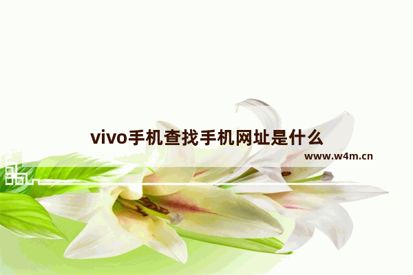 vivo手机查找手机网址是什么