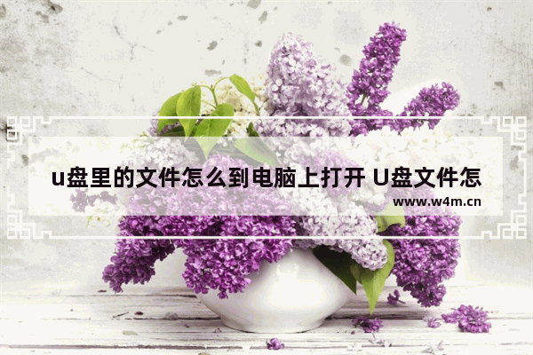 u盘里的文件怎么到电脑上打开 U盘文件怎么在电脑打开？