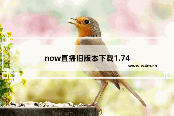 now直播旧版本下载1.74