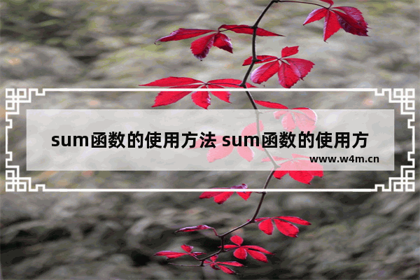 sum函数的使用方法 sum函数的使用方法 视频