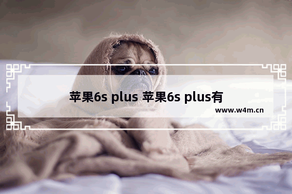 苹果6s plus 苹果6s plus有人脸识别功能吗