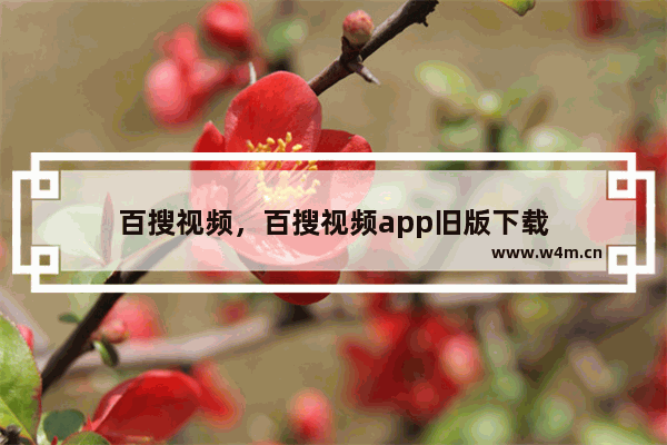 百搜视频，百搜视频app旧版下载