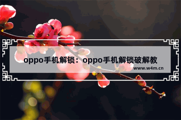 oppo手机解锁：oppo手机解锁破解教程