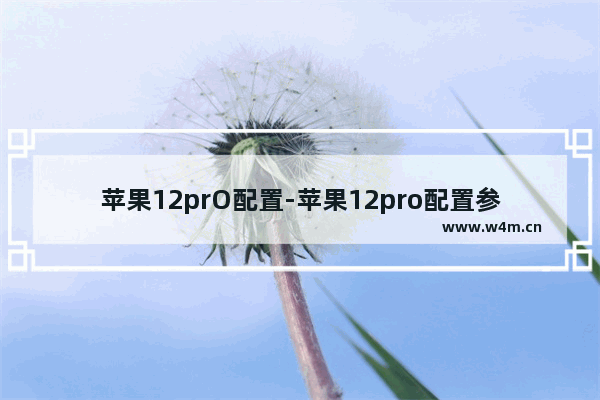 苹果12prO配置-苹果12pro配置参数表图片