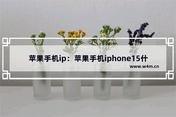 苹果手机ip：苹果手机iphone15什么时候上市