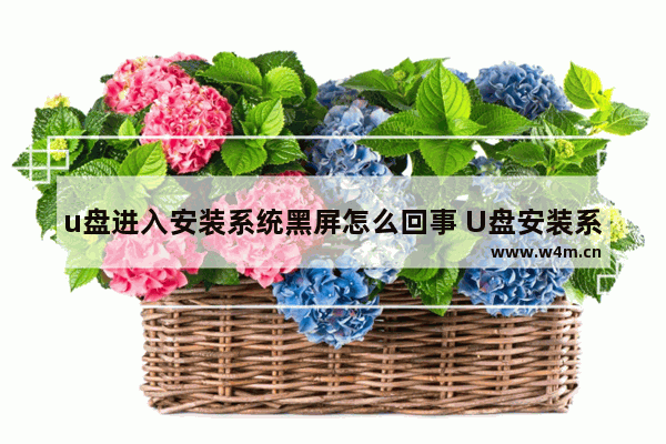 u盘进入安装系统黑屏怎么回事 U盘安装系统黑屏，怎么解决？