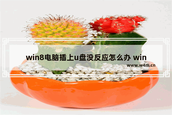 win8电脑插上u盘没反应怎么办 win8电脑无法识别U盘的解决方式