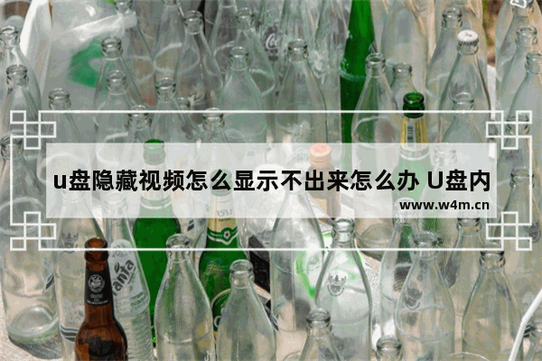 u盘隐藏视频怎么显示不出来怎么办 U盘内的隐藏视频无法找到怎么办？