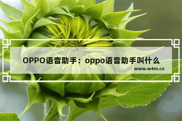 OPPO语音助手：oppo语音助手叫什么 唤醒