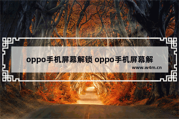 oppo手机屏幕解锁 oppo手机屏幕解锁破解教程