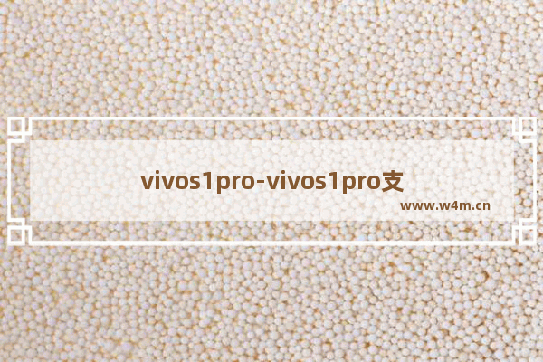 vivos1pro-vivos1pro支持OTG吗