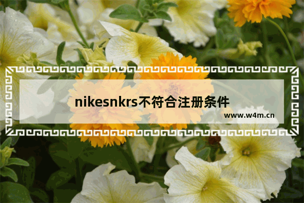 nikesnkrs不符合注册条件