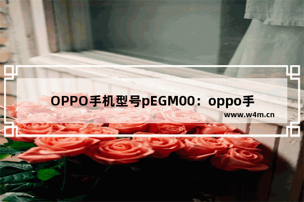 OPPO手机型号pEGM00：oppo手机型号pegm00是什么意思