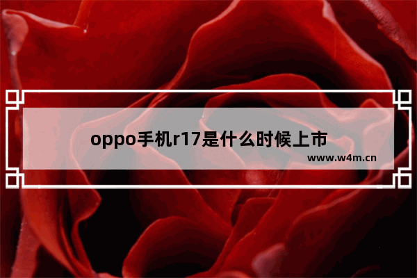 oppo手机r17是什么时候上市