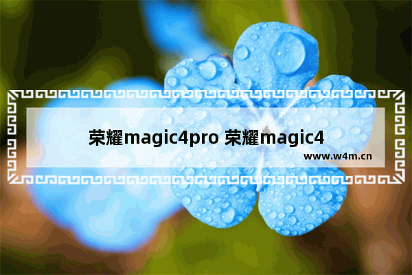 荣耀magic4pro 荣耀magic4pro和mate40pro参数对比