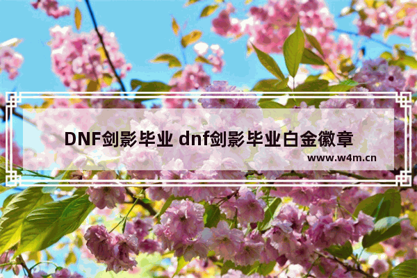 DNF剑影毕业 dnf剑影毕业白金徽章