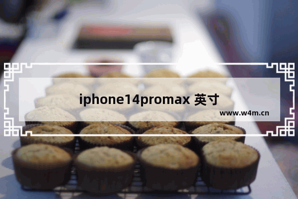 iphone14promax 英寸