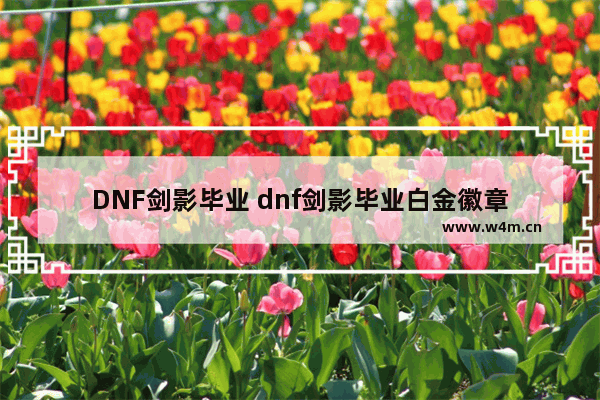 DNF剑影毕业 dnf剑影毕业白金徽章