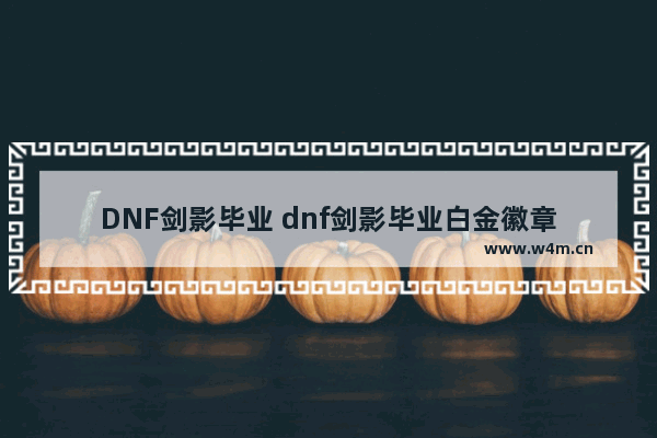 DNF剑影毕业 dnf剑影毕业白金徽章