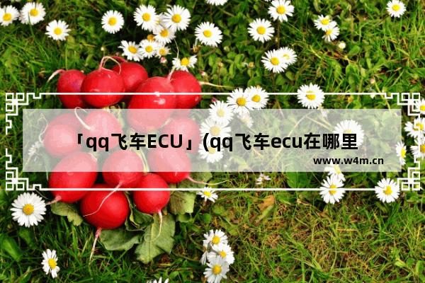 「qq飞车ECU」(qq飞车ecu在哪里设置)