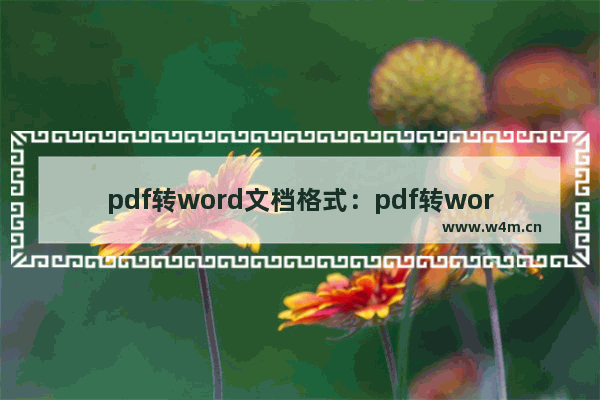 pdf转word文档格式：pdf转word文档格式免费