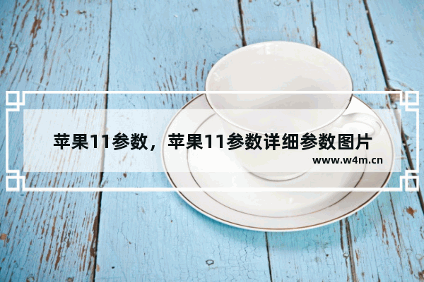 苹果11参数，苹果11参数详细参数图片